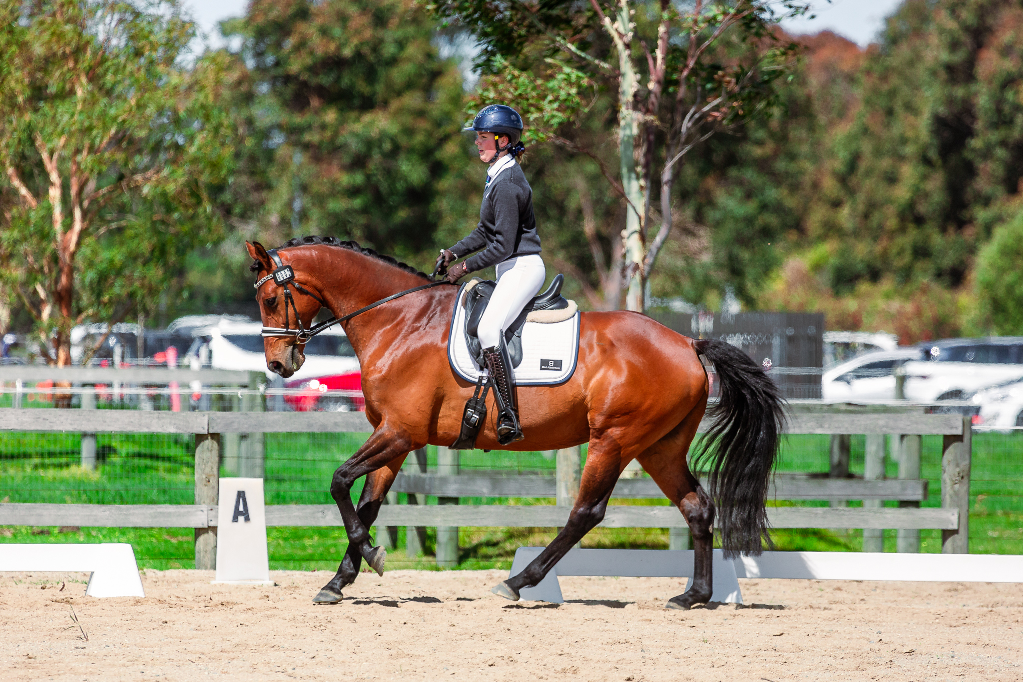 0 FE88 E1 C 8 FAB 48 AD A376 41204 B215017