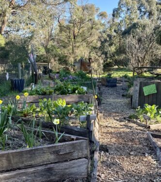 Penbank Patch garden beds in early spring