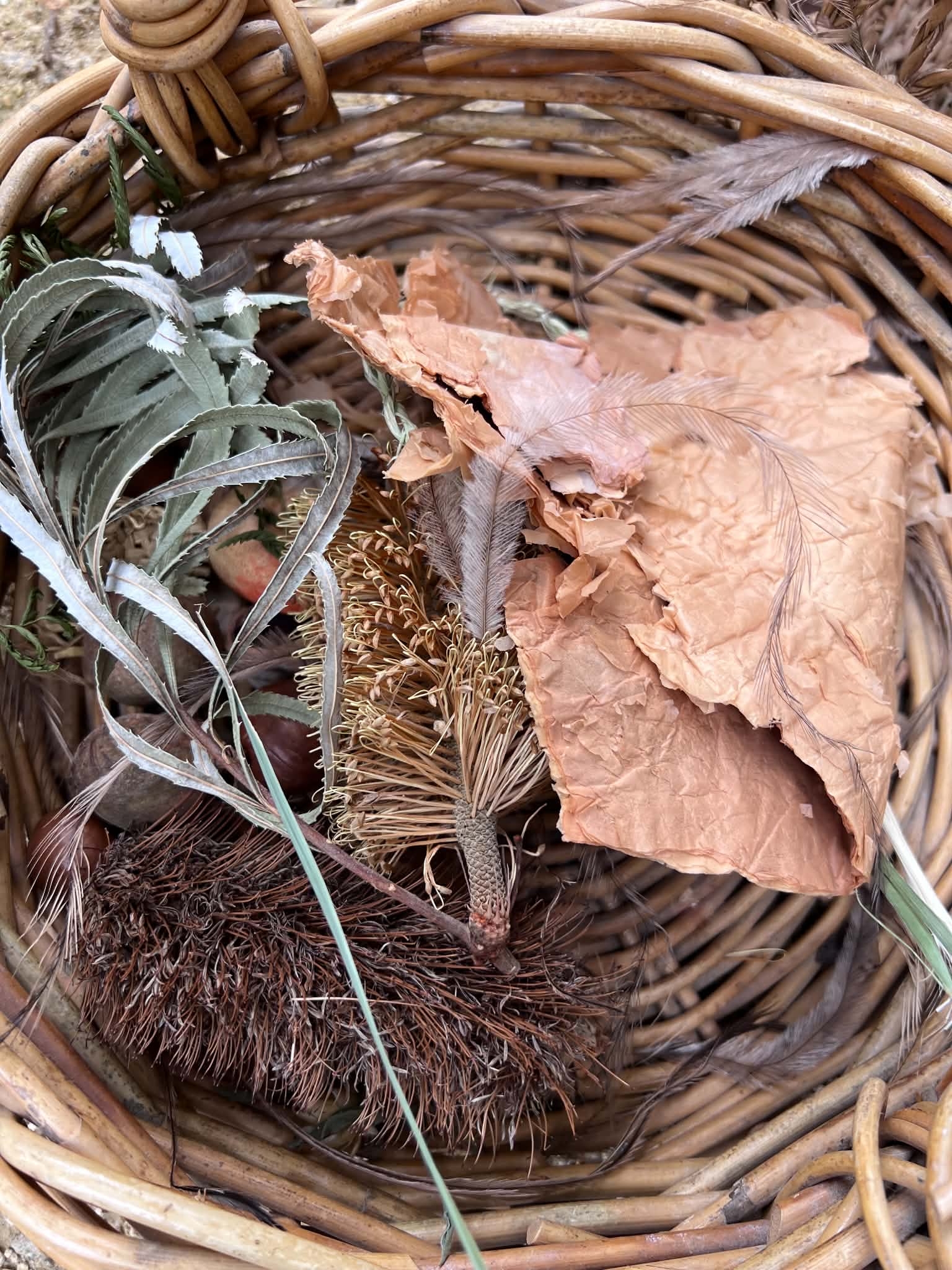 Image2