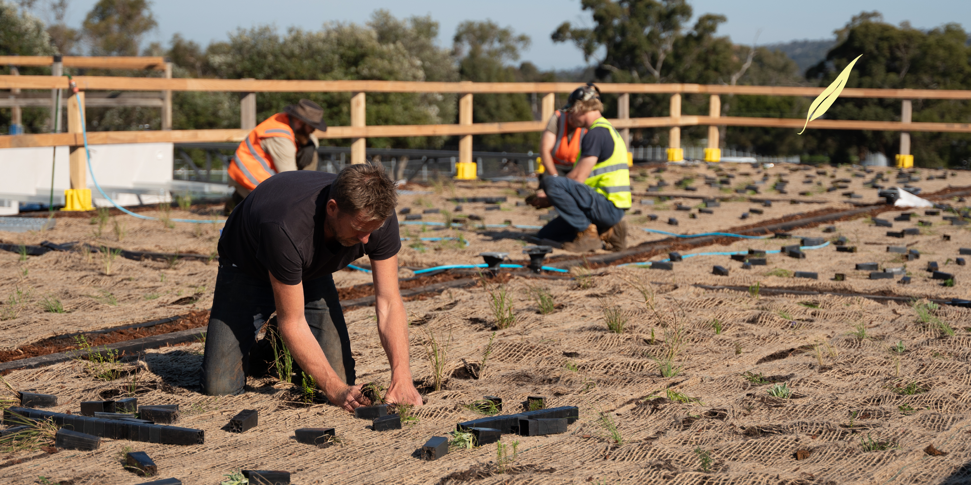 Regenerative Futures Project Information Evening