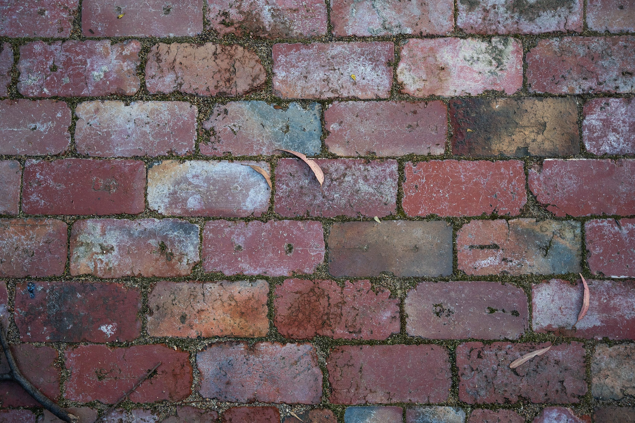 Untitled 02221