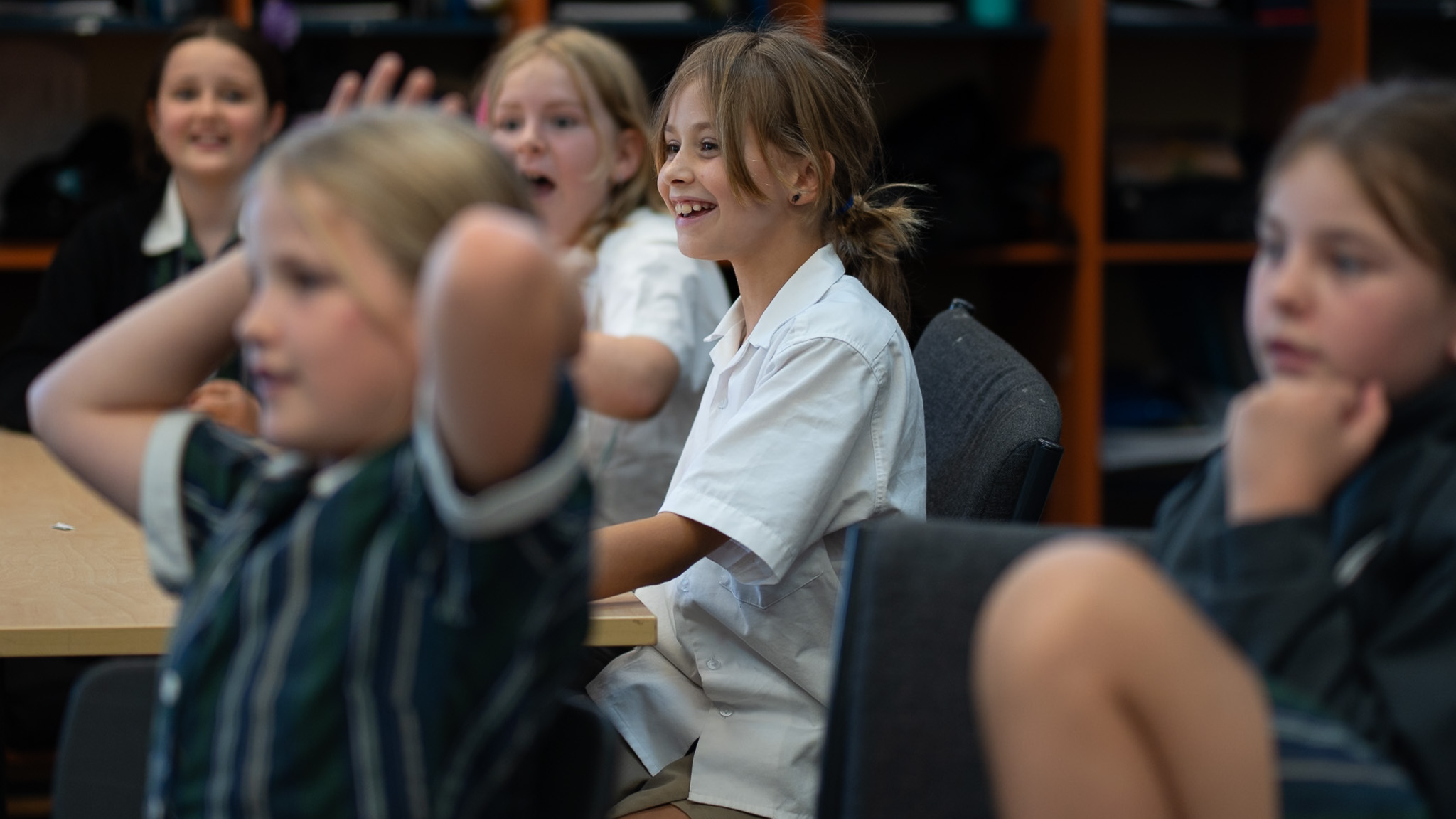 James article banner