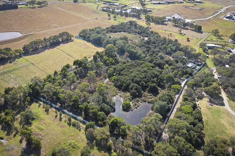 Brianhendersonreserve