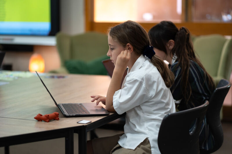 Why Homestead Begins in Year 5