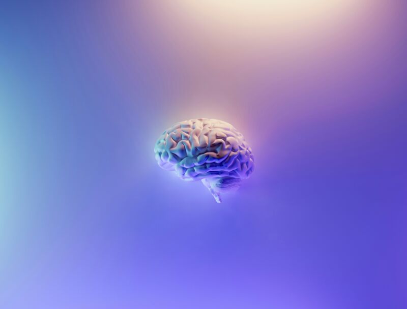 The Neuroscience Says...