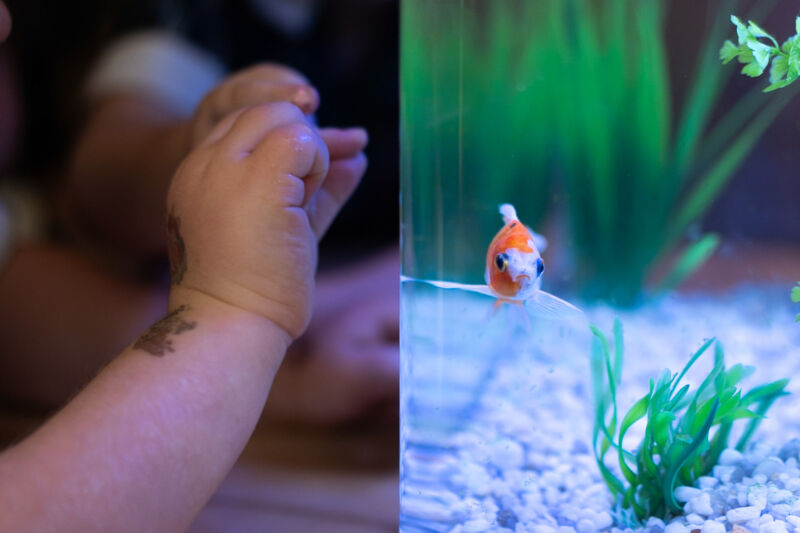 Feeling Seen and Strong